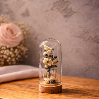 Sonsuzluk Dokunuşu – Cam Kubbe